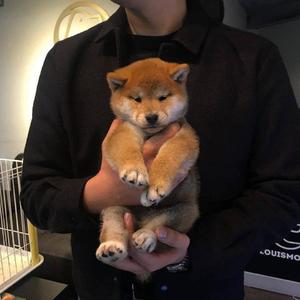 俩小伙3p老熟女露脸
